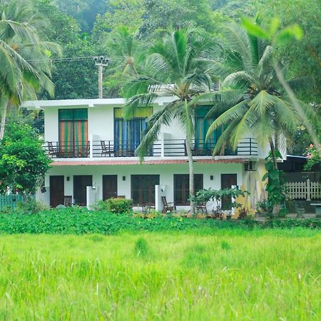 Paddy Field View Resort Mirissa Exteriör bild